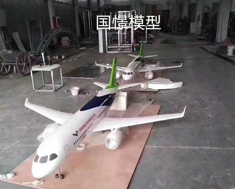 休宁县飞机模型